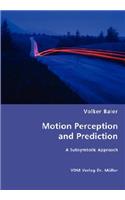Motion Perception and Prediction