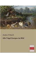 Alle Vogel Europas Im Bild