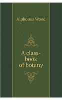 A Class-Book of Botany