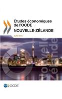Etudes Economiques de L'Ocde: Nouvelle-Zelande 2013