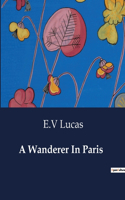 Wanderer In Paris