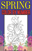 Spring Color By Number: Large Print Spring Color By Number Coloring Book for Adults with Spring Scenes, Flowers, Butterflies, and More (Color By Number For Adults)