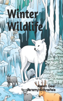 Winter Wildlife