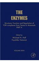 Structure, Function and Regulation of Tor Complexes from Yeasts to Mammals