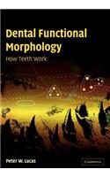 Dental Functional Morphology