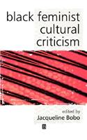 Black Feminist Cultural Criticism