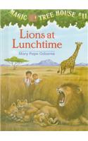 Lions at Lunchtime