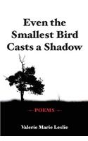 Even the Smallest Bird Casts a Shadow