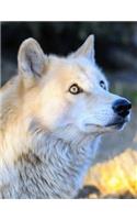 Notebook: Wolf wolves predator animal nature wildlife canine dog dogs wild animals forest snow