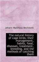 The Natural History of Cage Birds; Their Management, Habits, Food, Diseases, Treatment, Breeding, an