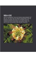 Sea Ice