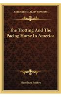 The Trotting And The Pacing Horse In America