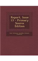 Report, Issue 13