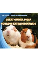 Great Guinea Pigs / Cobayos Extraordinarios
