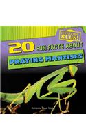 20 Fun Facts about Praying Mantises