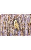 Snowy Owl Deluxe Holiday Cards