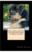 How to Raise and Train Your Rottweiler Puppy or Dog to Be Great