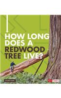 How Long Does it Take? How Long Does a Redwood Tree Live?