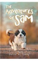 The Adventures of Sam