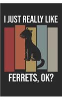 I Just Really Like Ferrets, OK?: DIN A5 Frettchen Notizheft kariert - 120 Seiten kariertes Frettchen Notizbuch für Notizen in Schule, Universität, Arbeit oder zuhause. - Eine tolles