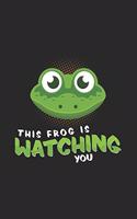 This Frog is watching you
