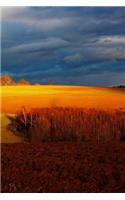 Field Notebook