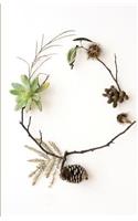 The Botanical Collection
