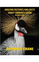 Crowned Crane
