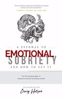Pathway to Emotional Sobriety and How to Get It