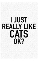 I Just Really Like Cats Ok?: A 6x9 Inch Matte Softcover Journal Notebook with 120 Blank Lined Pages and a Funny Sarcastic Cover Slogan