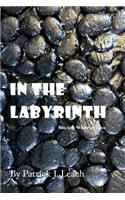 In the Labyrinth (B&W Edition)