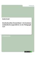 Interkulturelles Deutschland - wie kommen ausländische Jugendliche in der Pädagogik vor?