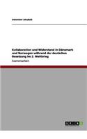 Kollaboration und Widerstand in Dänemark und Norwegen während der deutschen Besetzung im 2. Weltkrieg