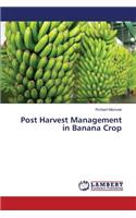 Post Harvest Management in Banana Crop