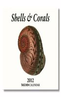 2012 Shells & Corals Tear Off Calendar