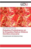 Estudios Preliminares En La Orquidea Nativa Chilena Gavilea Araucana