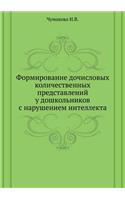 Formirovanie dochislovyh kolichestvennyh predstavlenij u doshkol'nikov s narusheniem intellekta: (Russian)