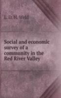 Social and economic survey of a community in the Red River Valley