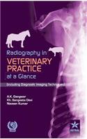Radiography in Veterinary Practice at a Glance (Including Diagnostic Imaging Techniques )