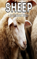 Sheep Calendar 2022