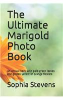 The Ultimate Marigold Photo Book