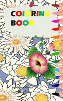 Coloring book: Flowers coloring book for girls and an Adult Coloring Book with birds, Bouquets, Wreaths, Swirls, Patterns, Decorations, Inspirational Designs