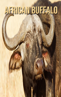 African Buffalo: Children's Books --- Amazing Photos & Fun Facts Book About African Buffalo For Kids