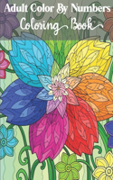 Adult Color by numbers coloring book