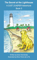 The Secret at the Lighthouse