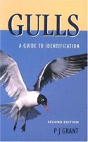 Gulls: A Guide to Identification - Second Edition
