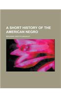 A Short History of the American Negro