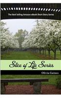 The Slice of Life Series: 2013