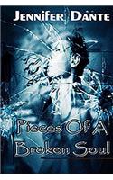 Pieces of a Broken Soul