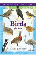Birds of Chile